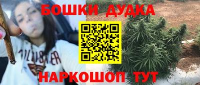 стаф Лесосибирск