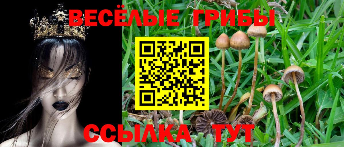 Галлюциногенные грибы прущие грибы Якутск
